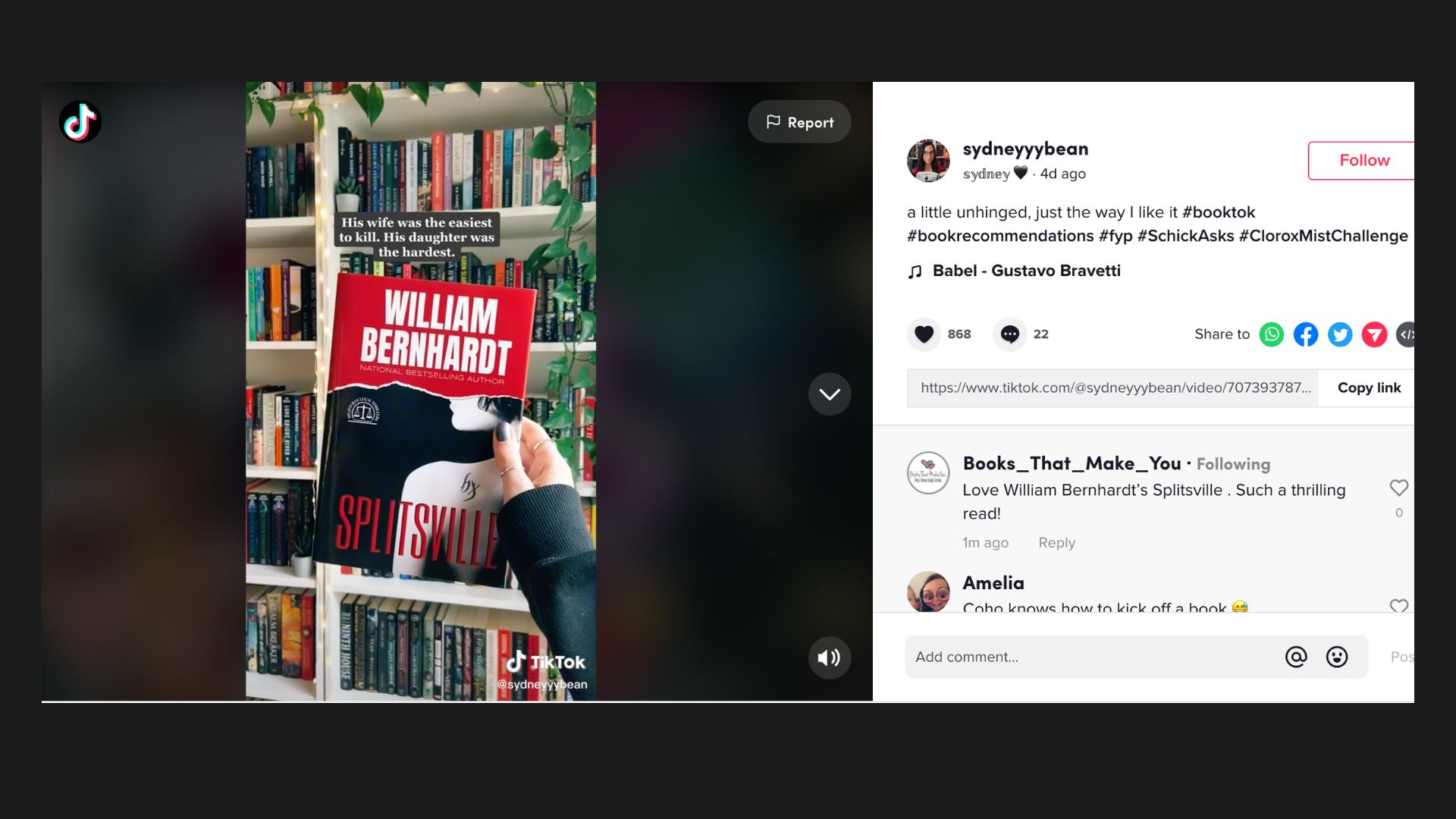@sydneyyybean TikTok review of William Bernhardt's Splitsville