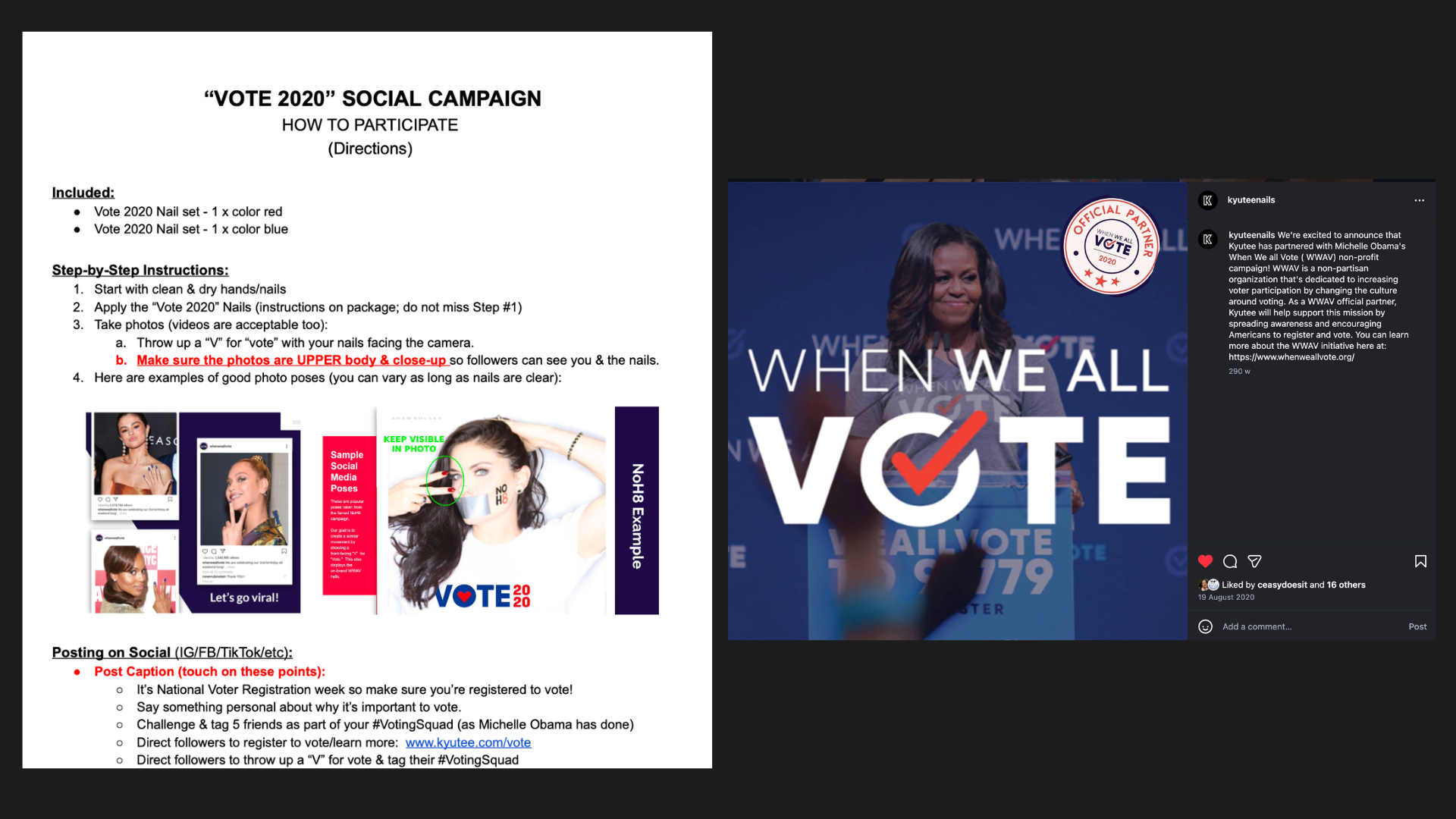 Vote 2020 campaign guidelines